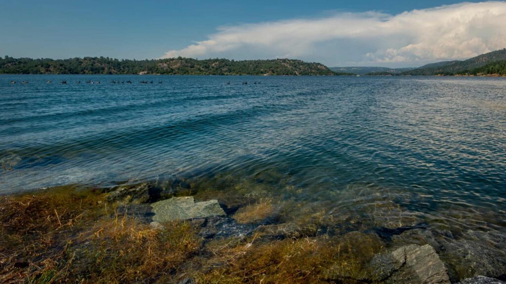 things to do in lake arrowhead in summer