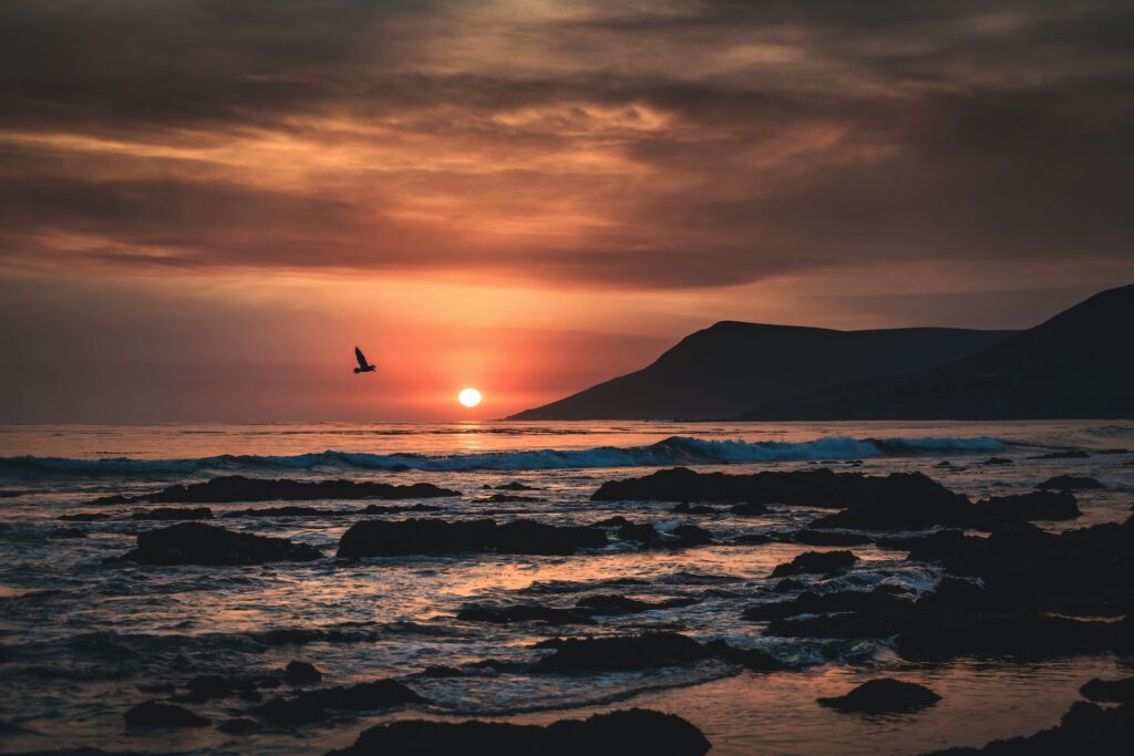 things to do around cayucos