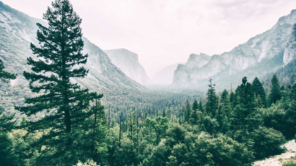 easiest Yosemite hikes