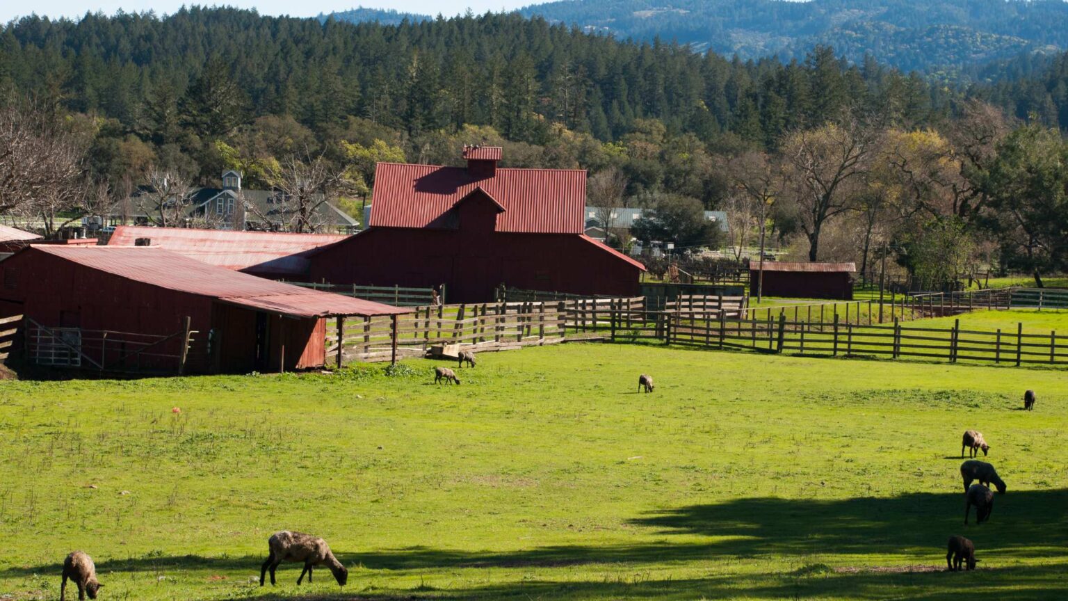 27 Fabulous Things To Do In Calistoga In California