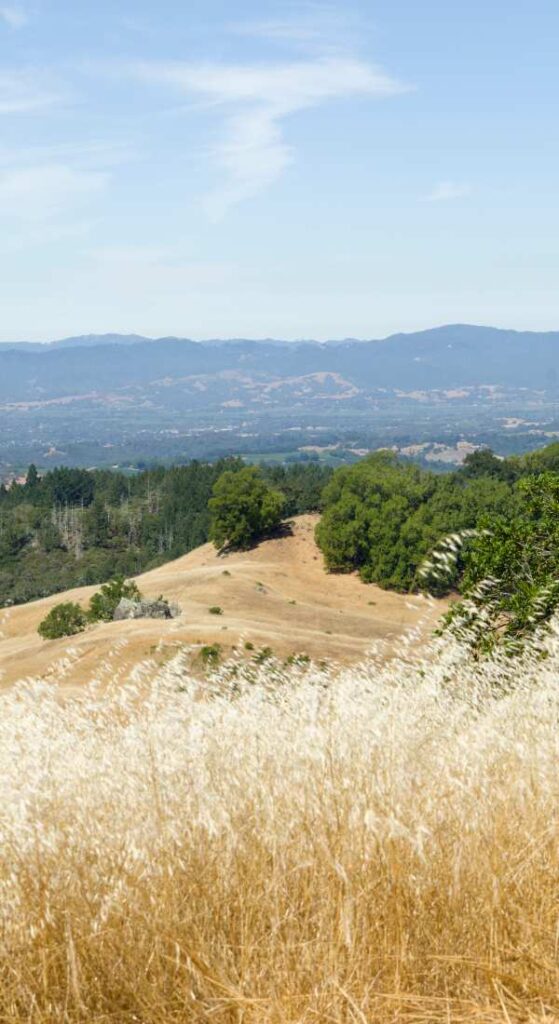 things to do in Healdsburg
