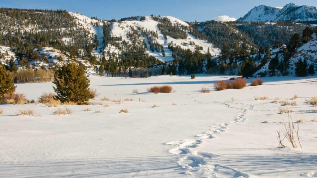 things to do in June Lake in winter