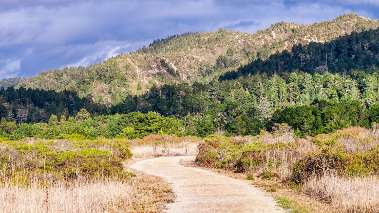 32 Fantastic Day Trips In Northern California For a Weekend Getaway