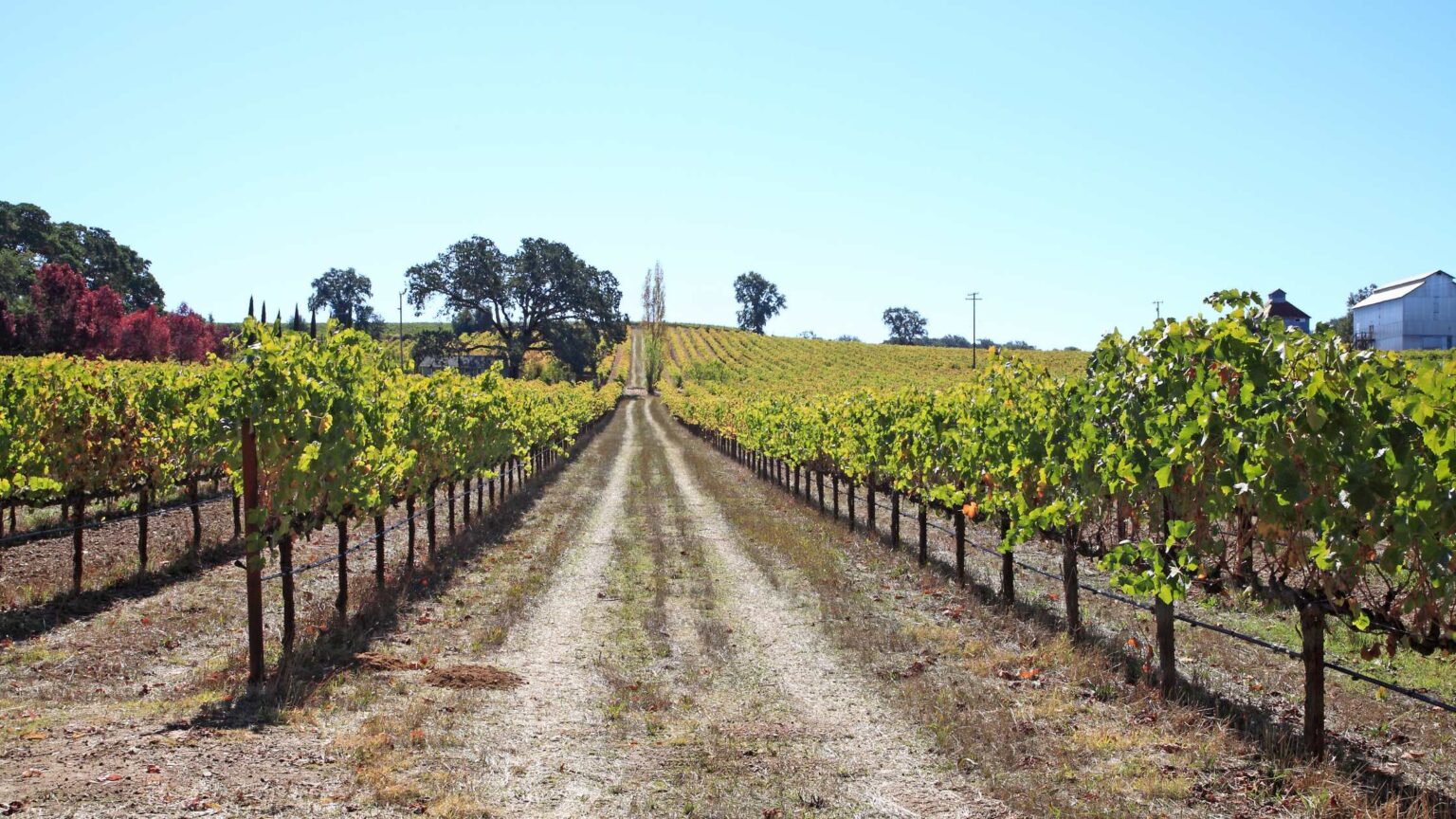 32 Fantastic Day Trips In Northern California For a Weekend Getaway