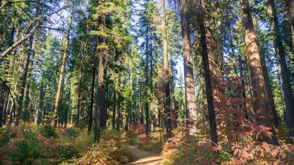Day trips in northern California