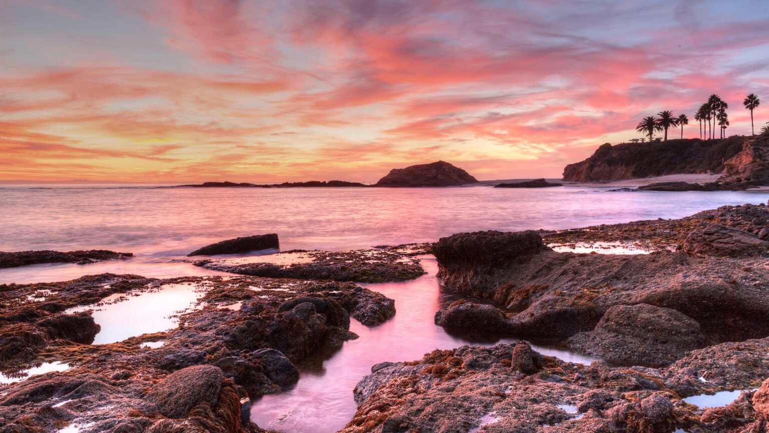 10 Beautiful Laguna Beach Tide Pools You Should Explore With Kids