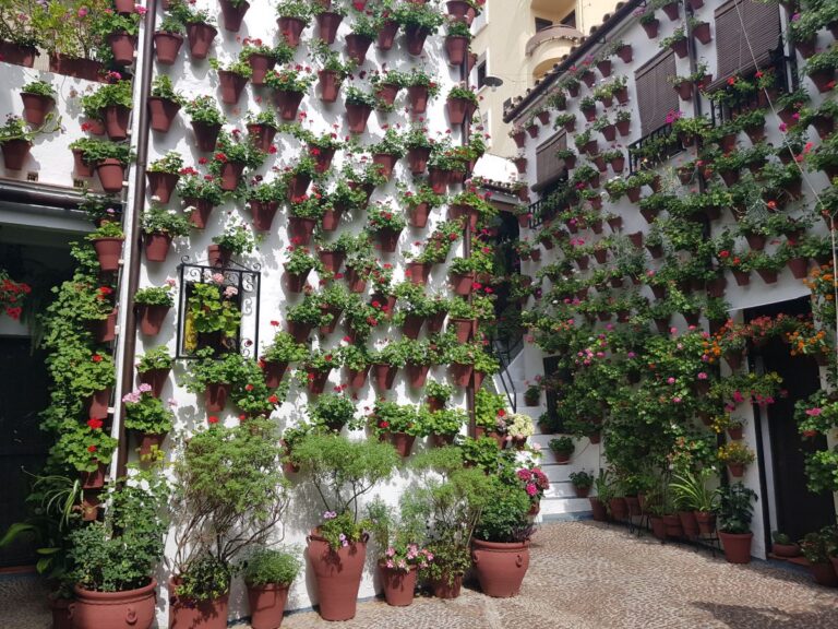 Spain Solo Travel Bucket List 40 Fantastic Things You Should Do Alone spain-solo-travel-bucket-list-40-fantastic-things-you-should-do-alone