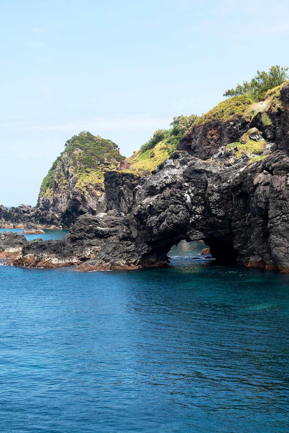 8 Pretty Santa Cruz Tide Pools To Enjoy With Your Kids