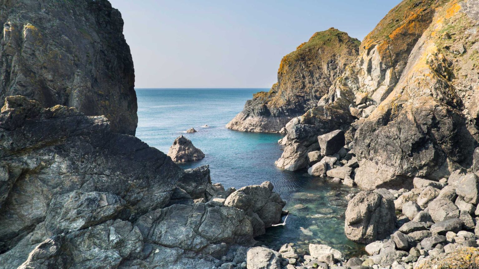 8 Pretty Santa Cruz Tide Pools To Enjoy With Your Kids