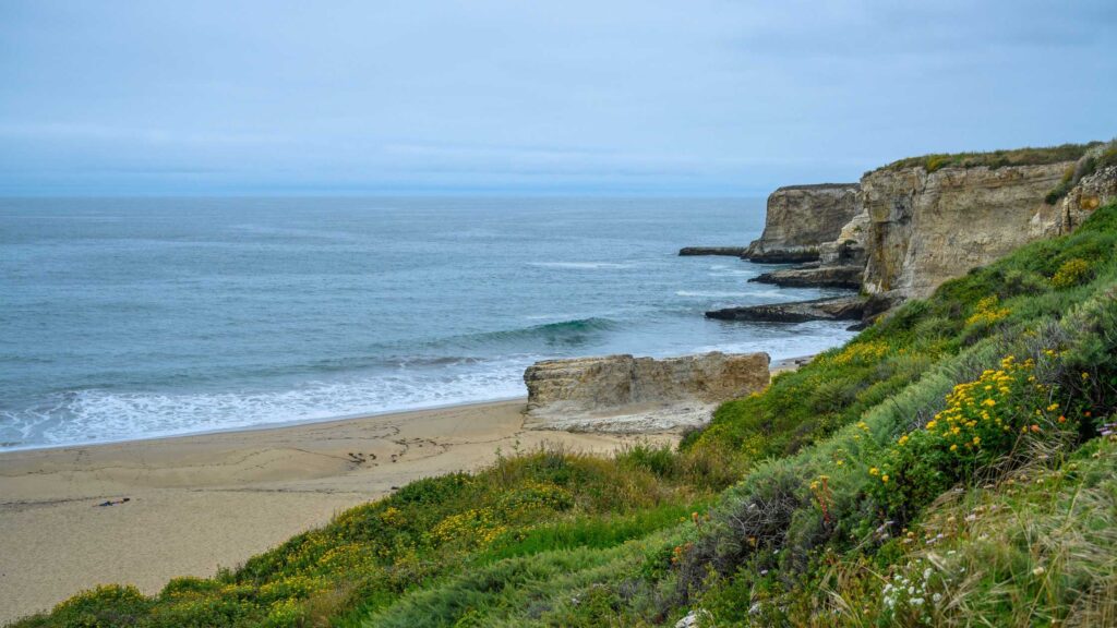 8 Pretty Santa Cruz Tide Pools To Enjoy With Your Kids