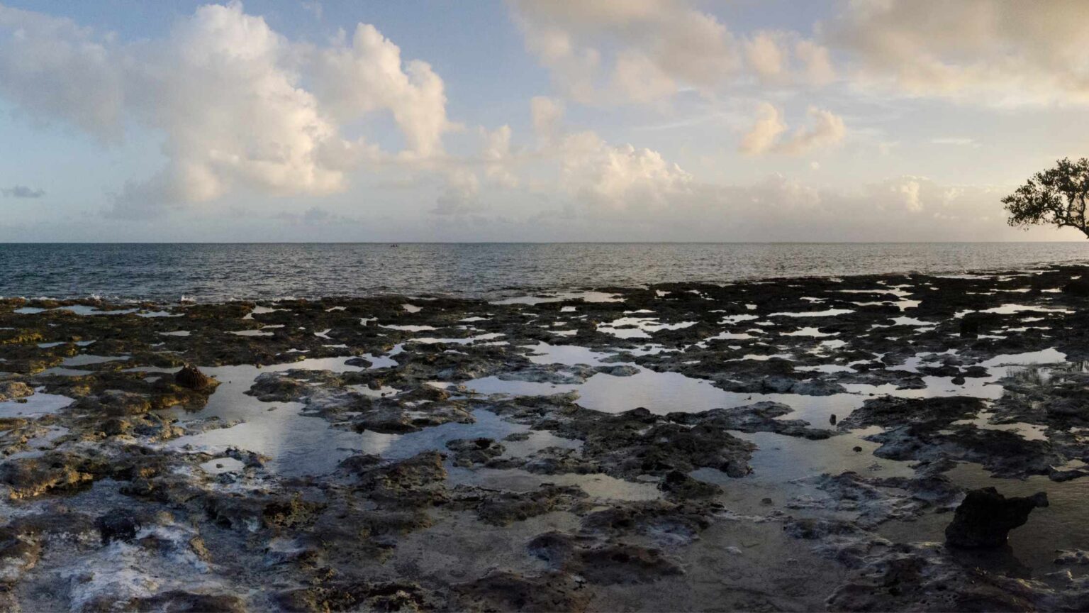 10 Best Tide Pools In Florida To Visit With Your Kids