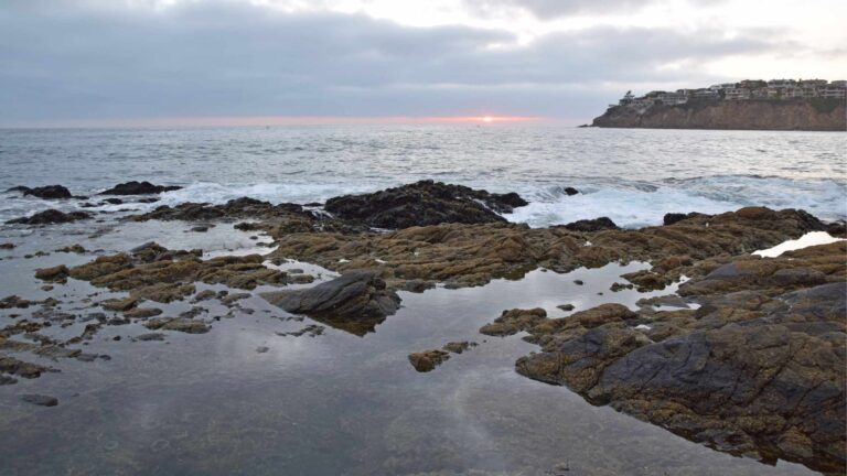 10 Best Tide Pools In Florida To Visit With Your Kids